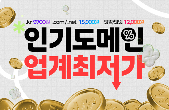 인기도메인 업계최저가!