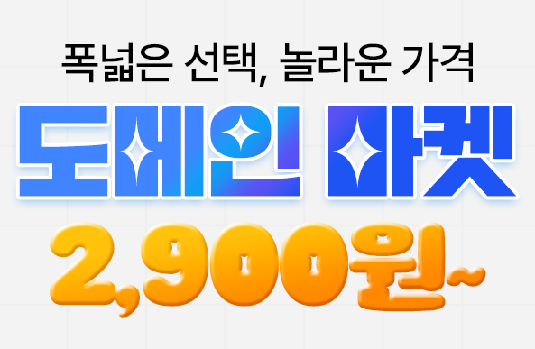 도메인 지금이 가장 쌀 때, 2900원~
